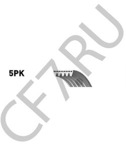 55562422 GENERAL MOTORS Поликлиновой ремень в городе Королёв